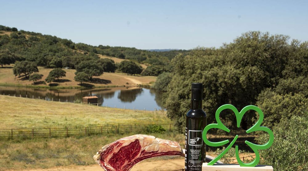 Un año más, la Estrella Verde nos acompaña